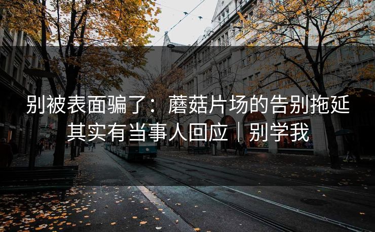 别被表面骗了：蘑菇片场的告别拖延其实有当事人回应｜别学我