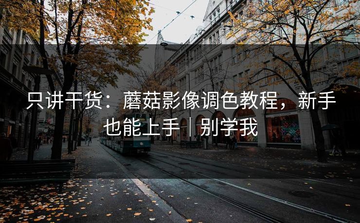 只讲干货：蘑菇影像调色教程，新手也能上手｜别学我